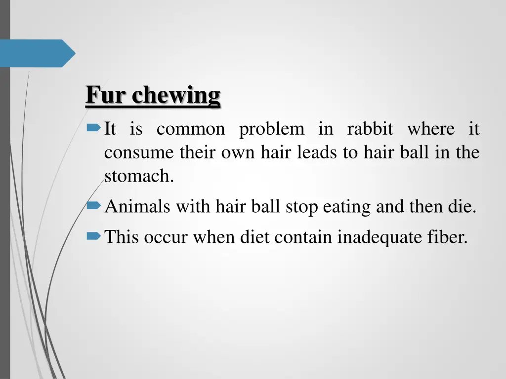 fur chewing it is common problem in rabbit where