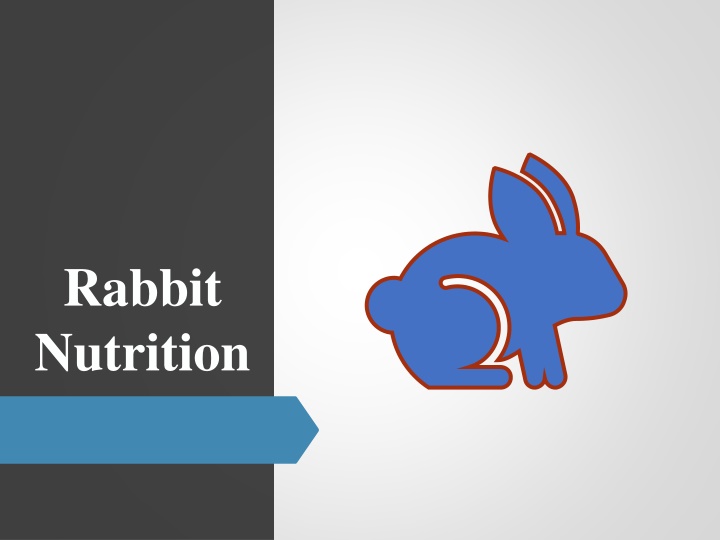 rabbit nutrition