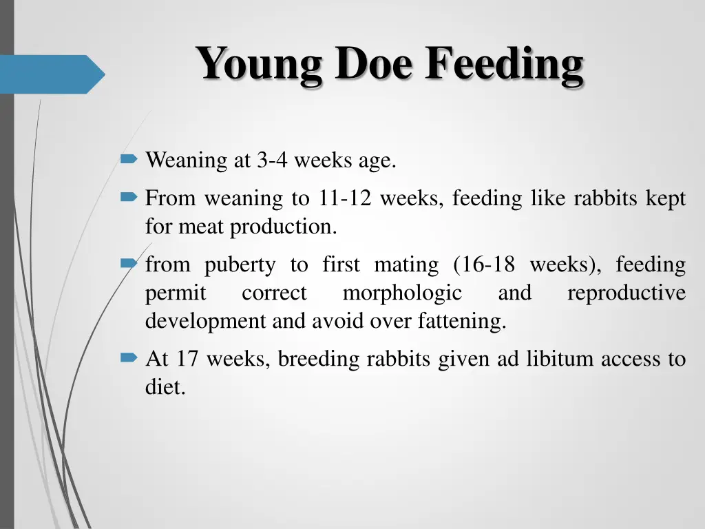 young doe feeding