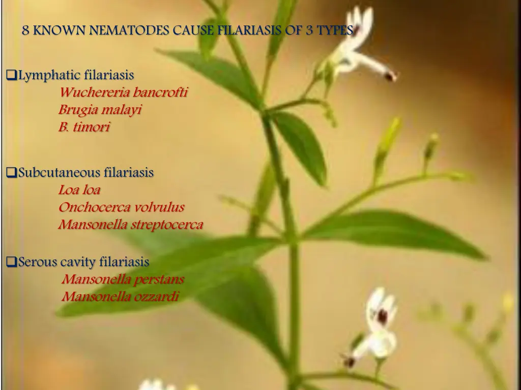 8 known nematodes cause filariasis of 3 types