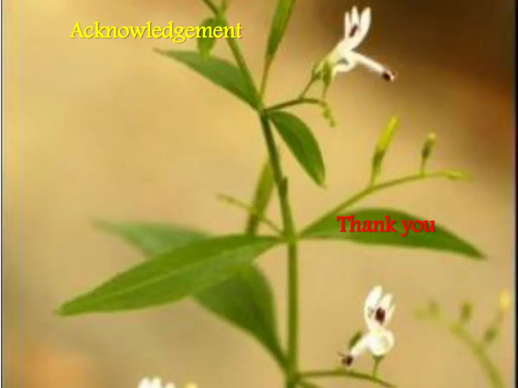 acknowledgement