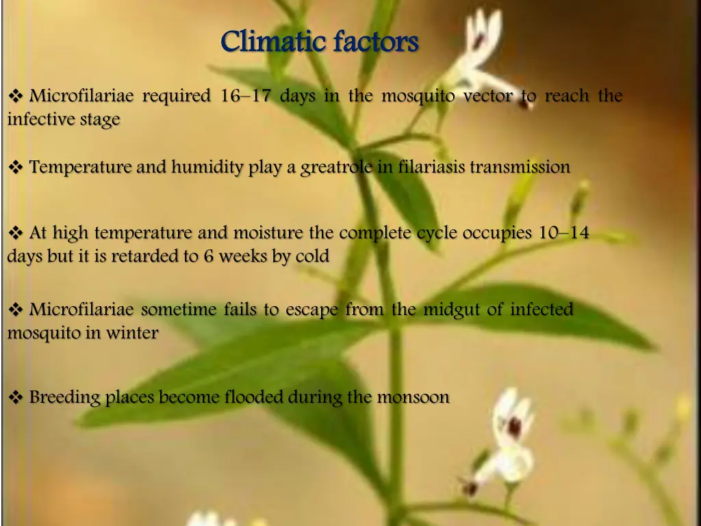 climatic
