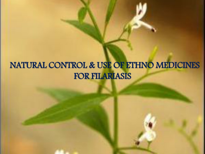 natural control use of ethno medicines