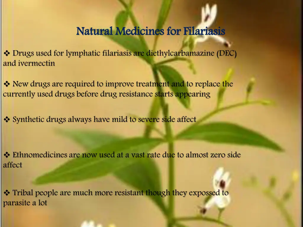 natural medicines for
