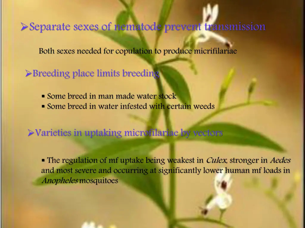 separate sexes of nematode prevent transmission
