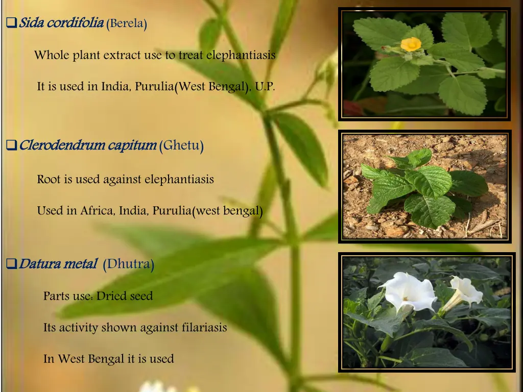 slide14