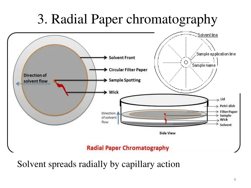 3 radial paper chromatography