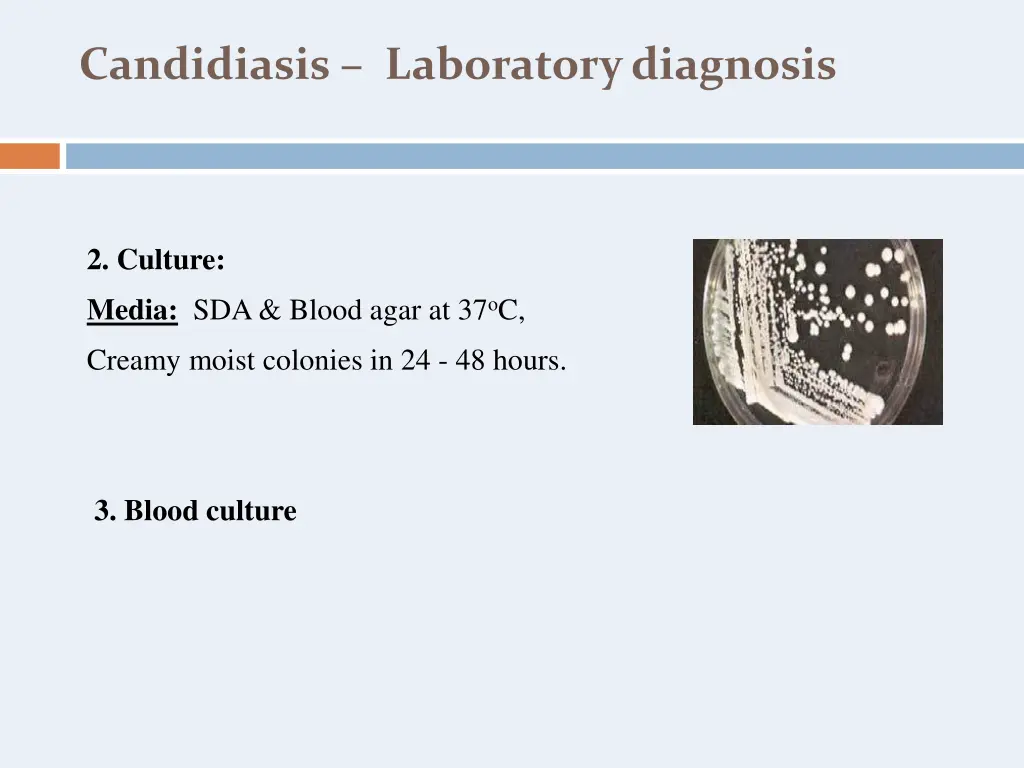 candidiasis laboratory diagnosis 1
