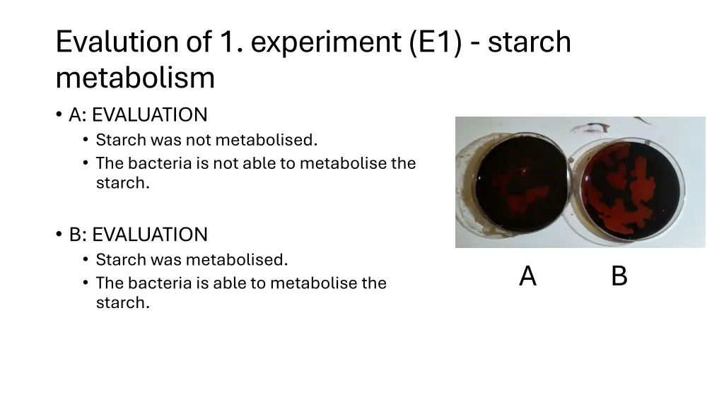 evalution of 1 experiment e1 starch metabolism
