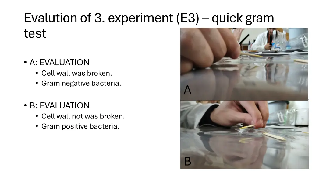 evalution of 3 experiment e3 quick gram test