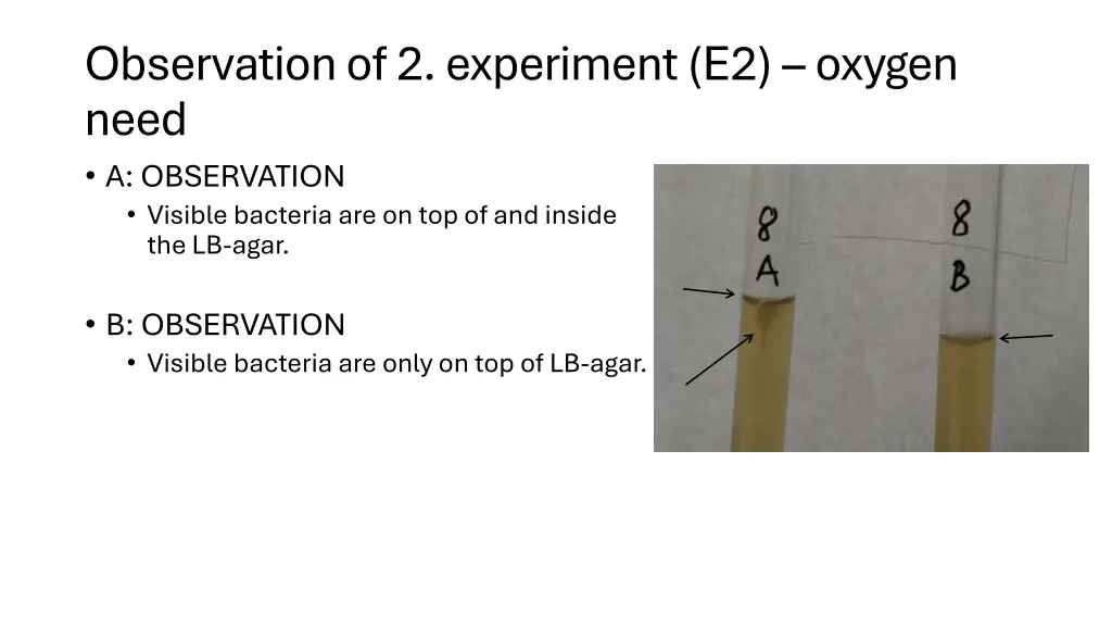 observation of 2 experiment e2 oxygen need