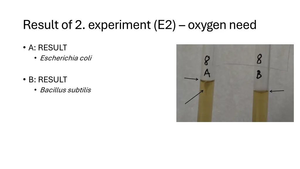 result of 2 experiment e2 oxygen need