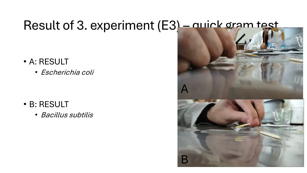 result of 3 experiment e3 quick gram test
