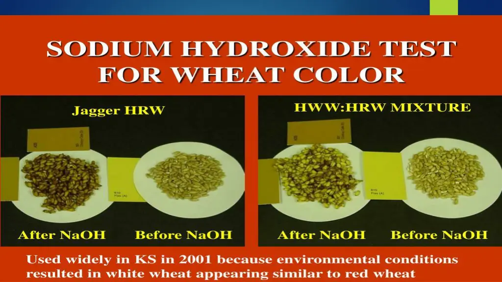 slide11