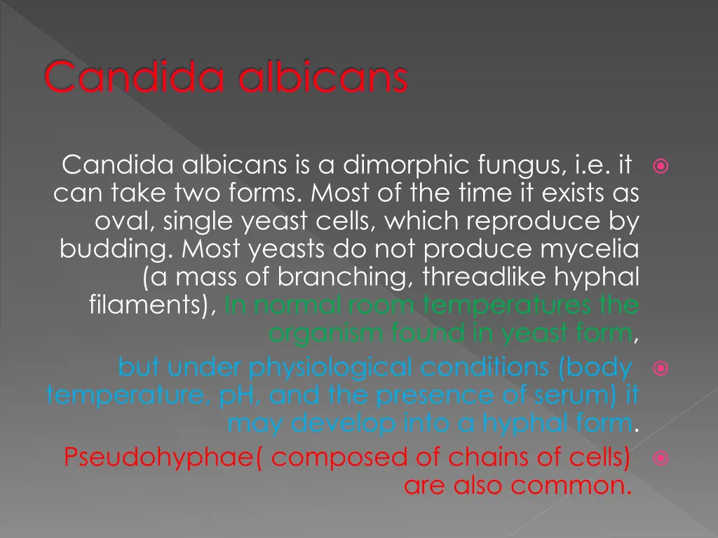 candida albicans 1