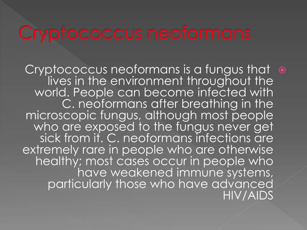 cryptococcus neoformans