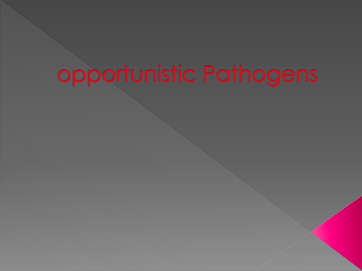 opportunistic pathogens