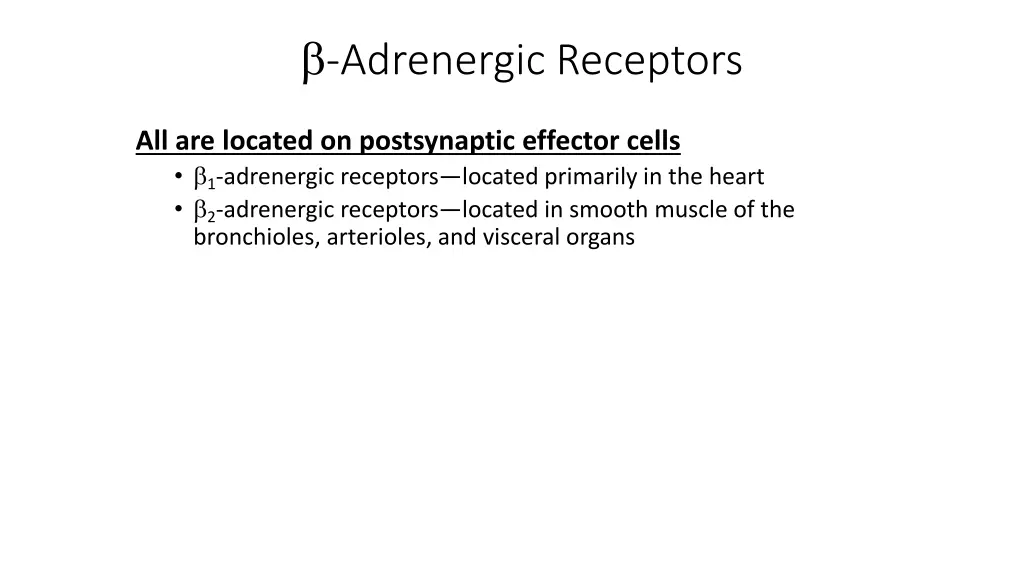 adrenergic receptors