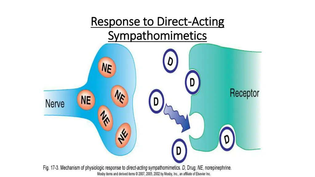 response to direct response to direct acting