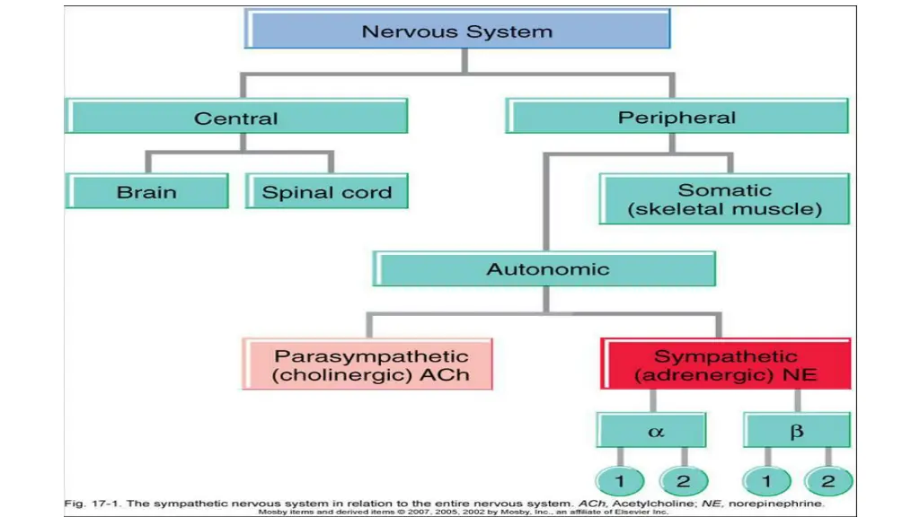 slide5