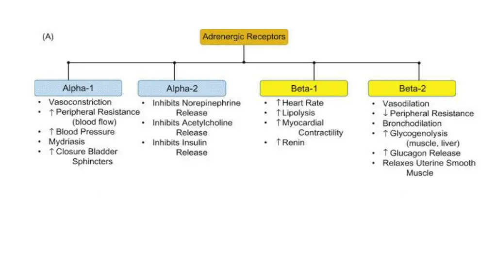 slide7