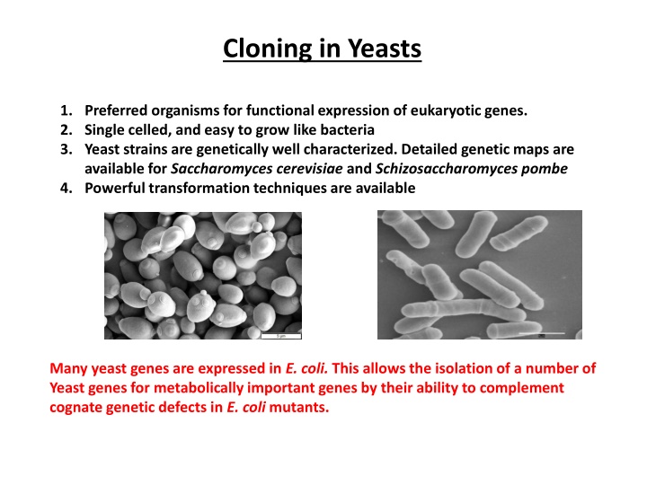 cloning in yeasts