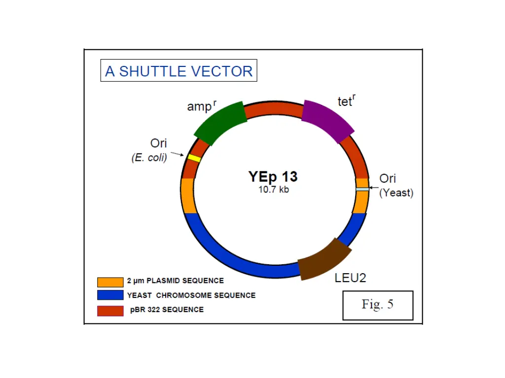 slide6