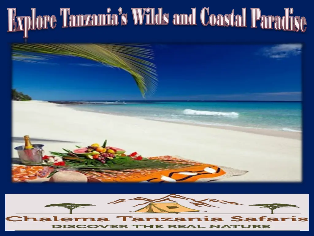 explore tanzania s wilds and coastal paradise 1
