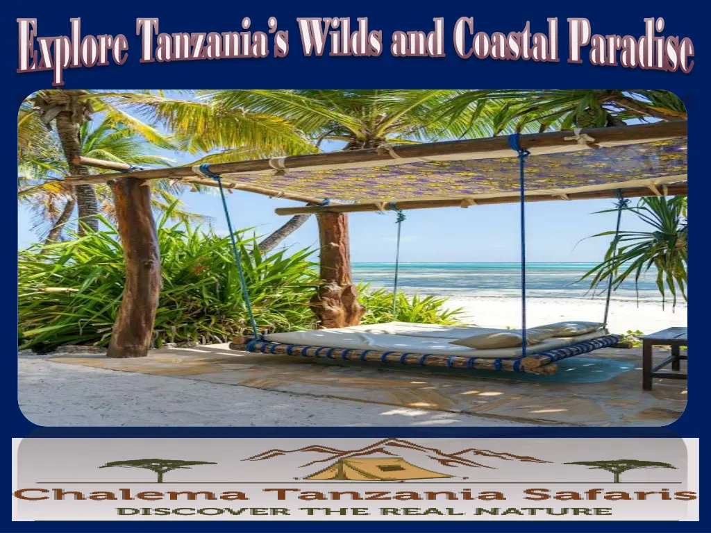 explore tanzania s wilds and coastal paradise 2