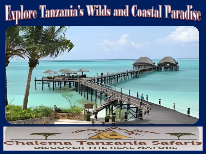 explore tanzania s wilds and coastal paradise