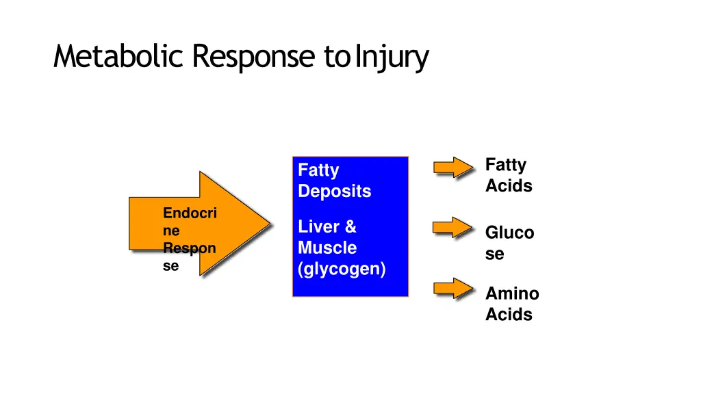 metabolic response toinjury 2