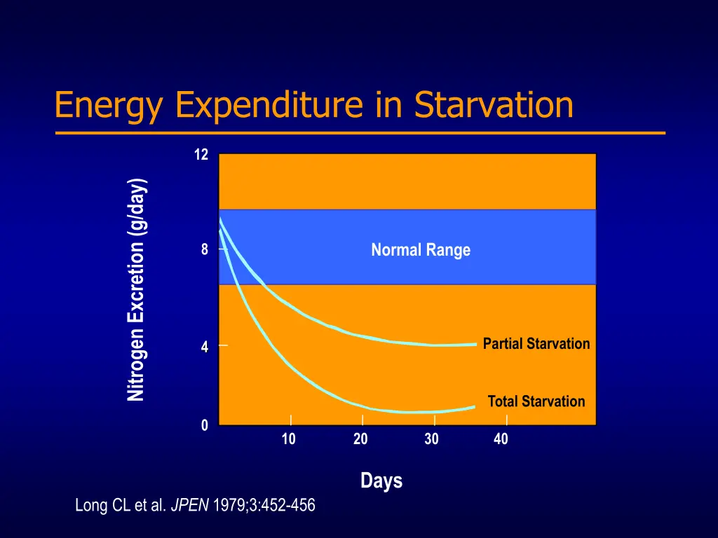 energy expenditure in starvation