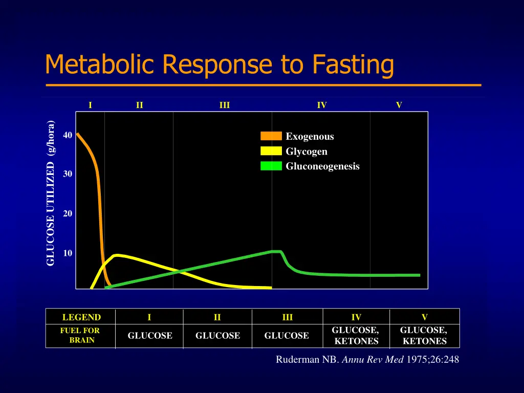 metabolic response to fasting