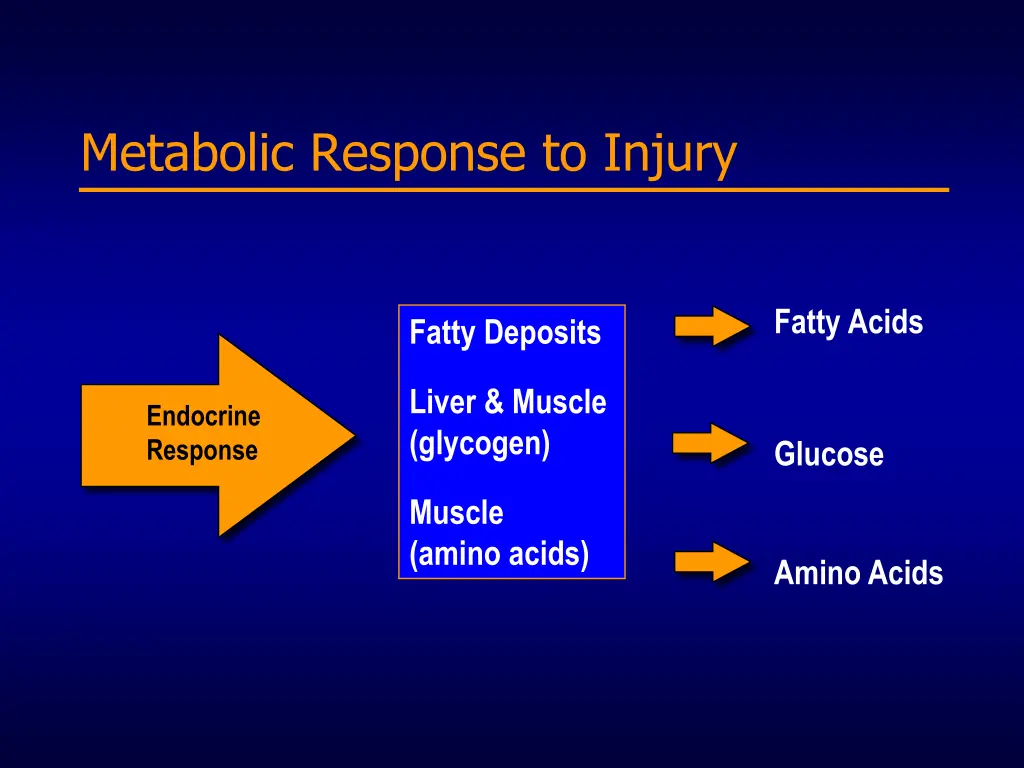 metabolic response to injury 2
