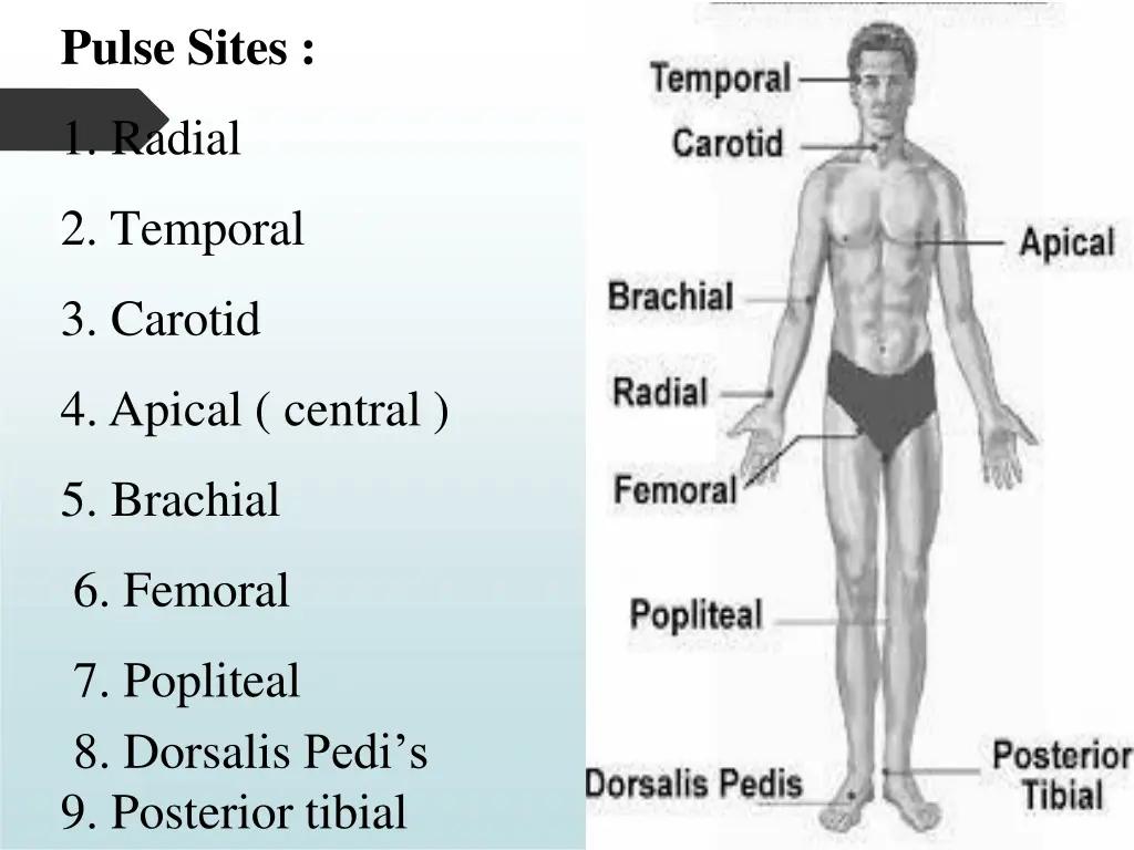 pulse sites