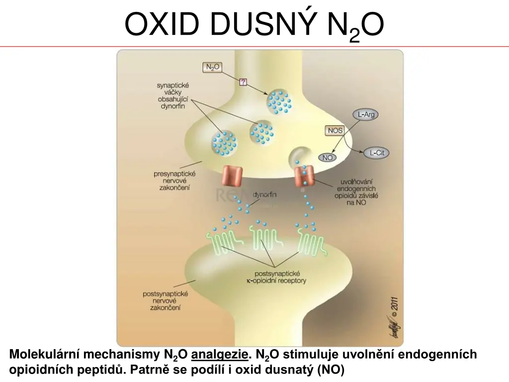 oxid dusn n 2 o 1