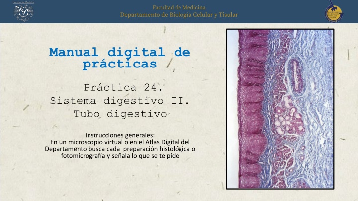 manual digital de pr cticas
