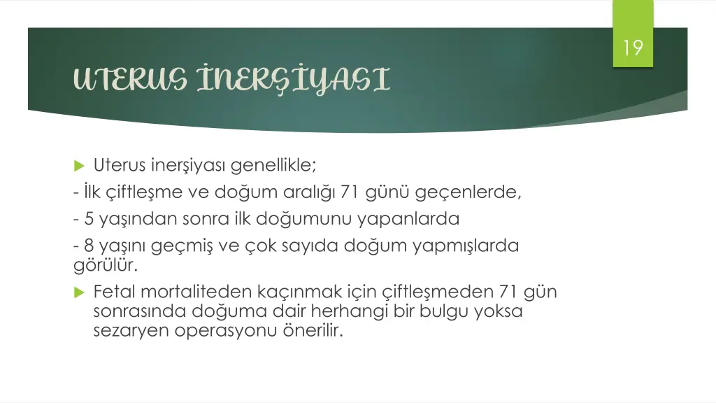 slide19
