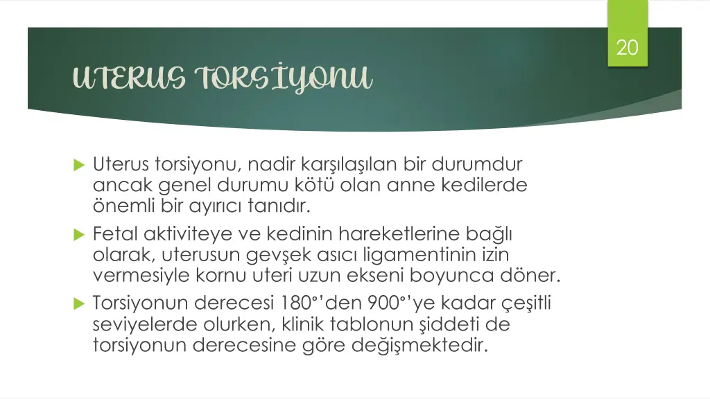 slide20
