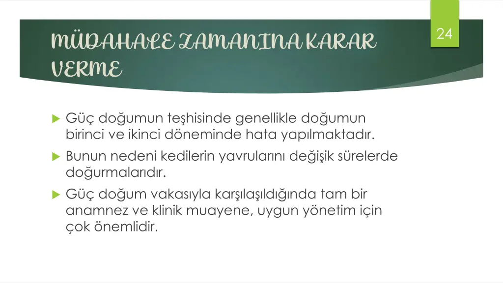 slide24