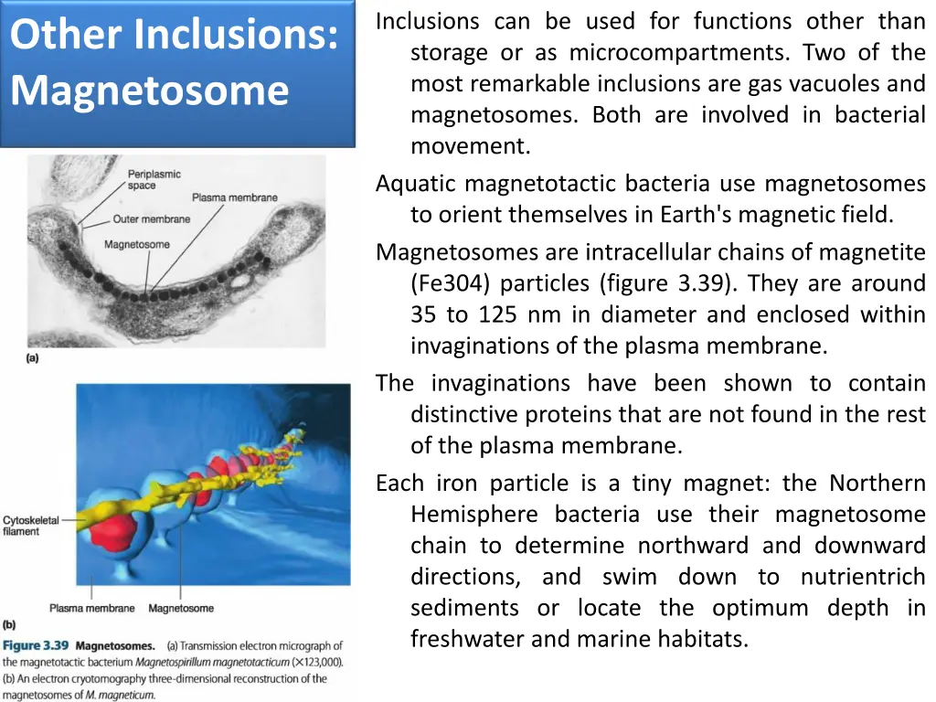 inclusions can be used for functions other than