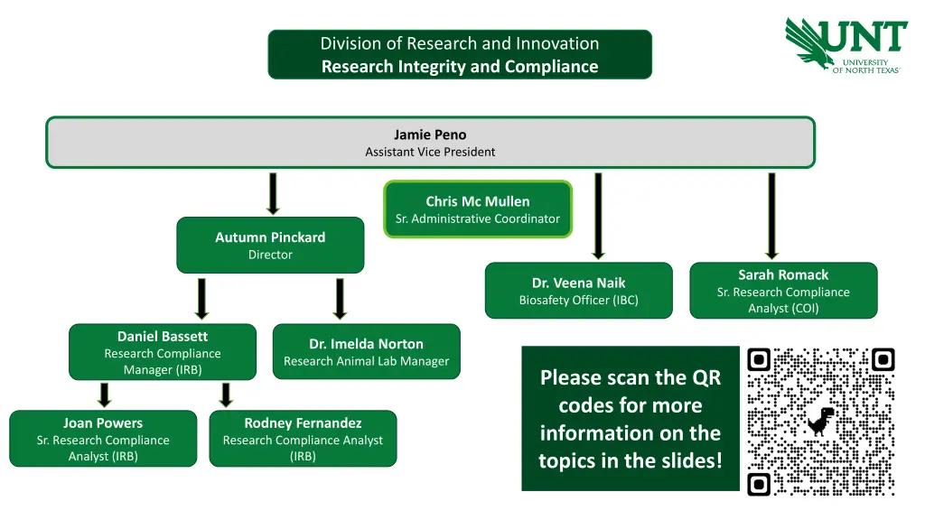 division of research and innovation research