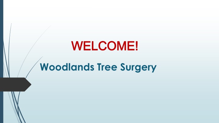 welcome welcome