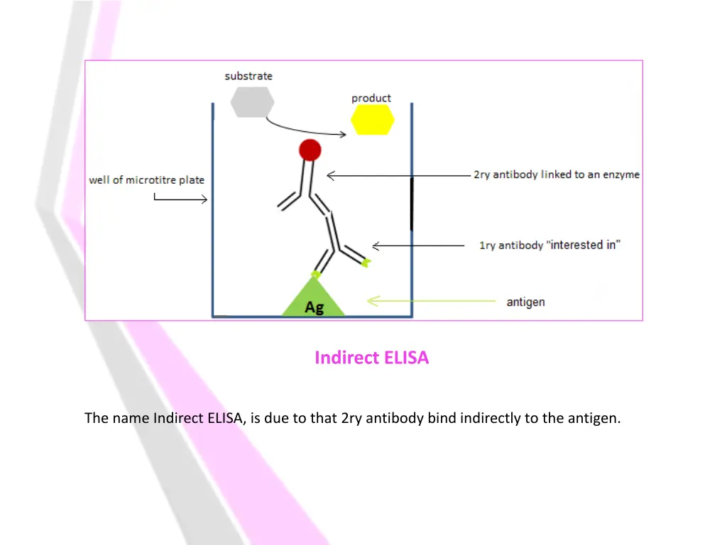indirect elisa 1
