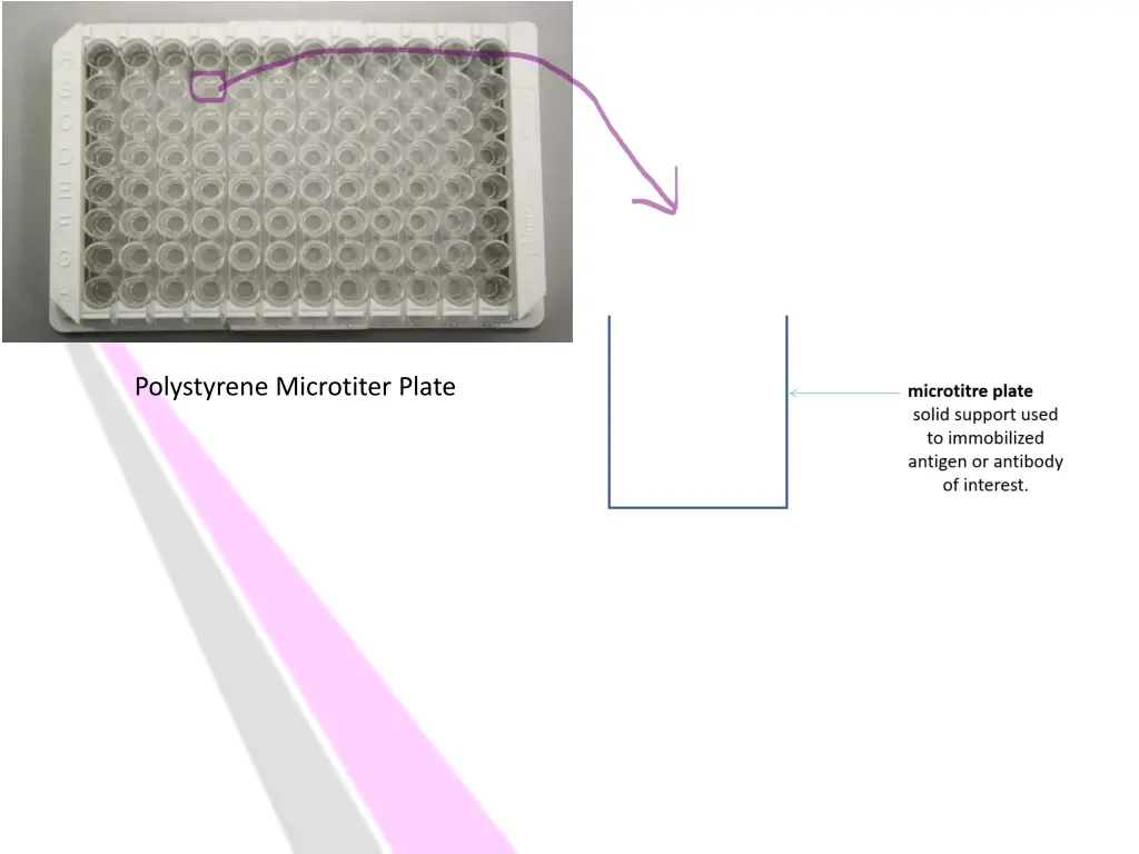 polystyrene microtiter plate