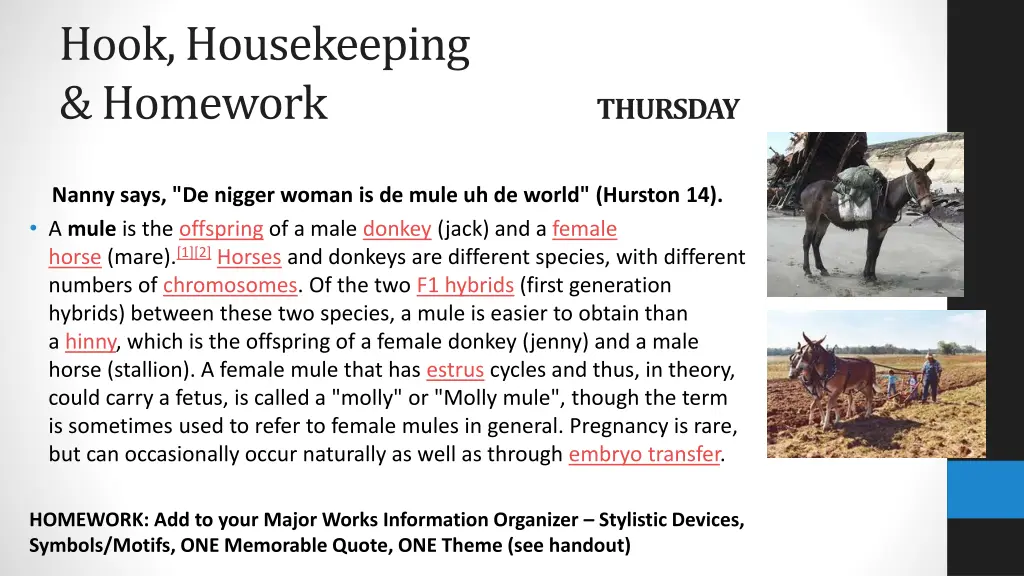 hook housekeeping homework 2