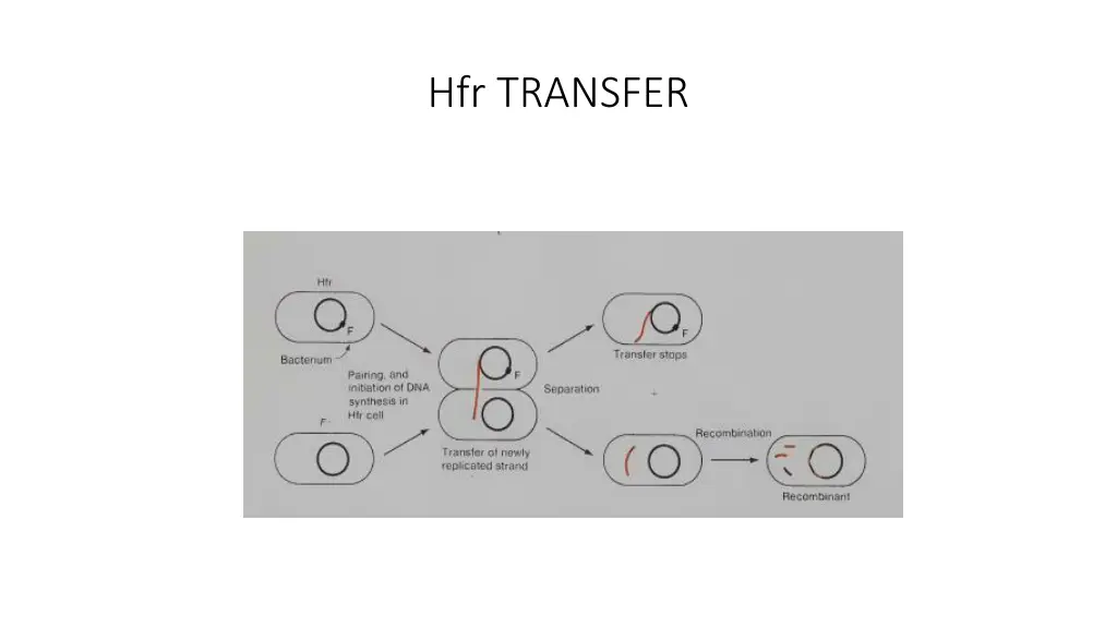 hfr transfer