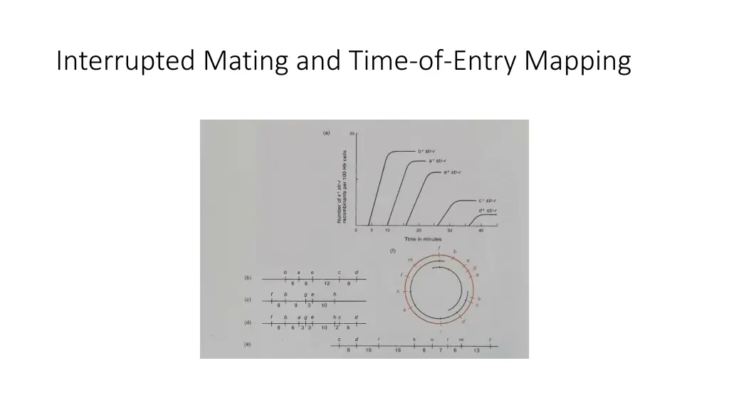 interrupted mating and time of entry mapping