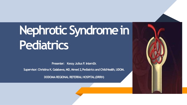 nephrotic syndrome in pediatrics