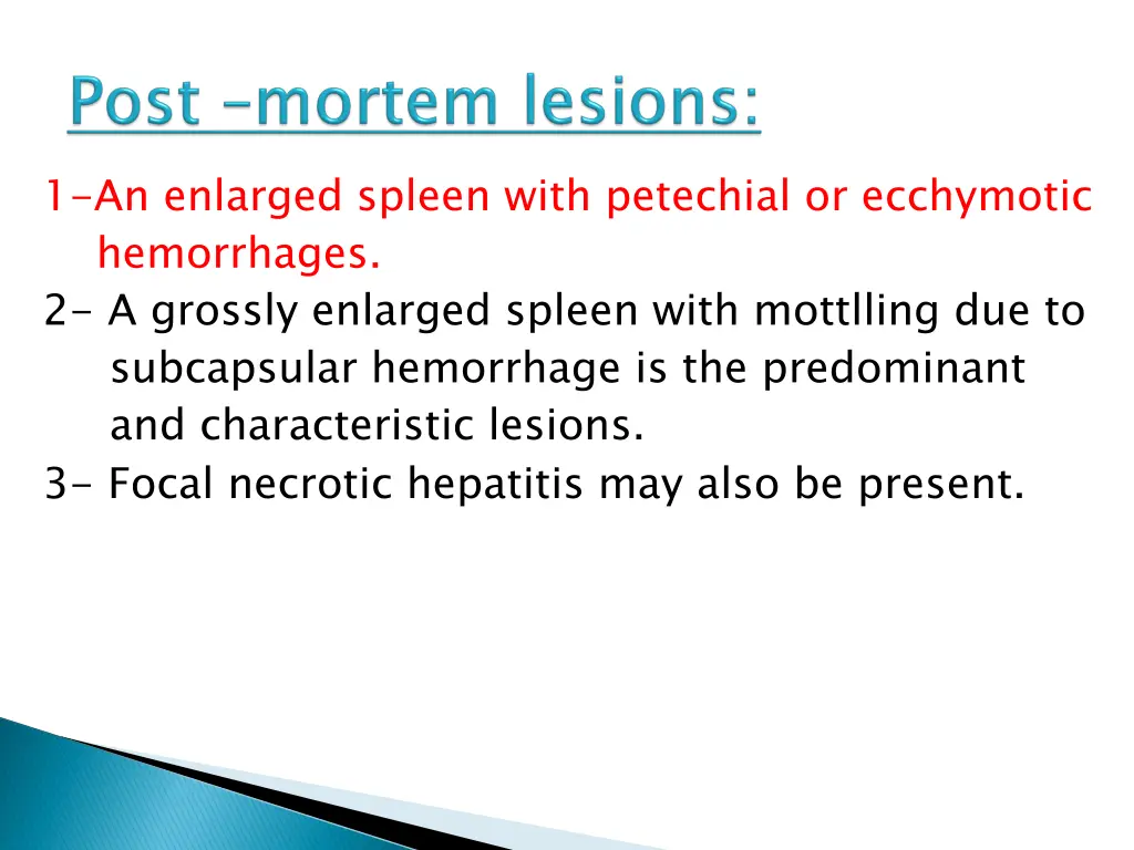 1 an enlarged spleen with petechial or ecchymotic